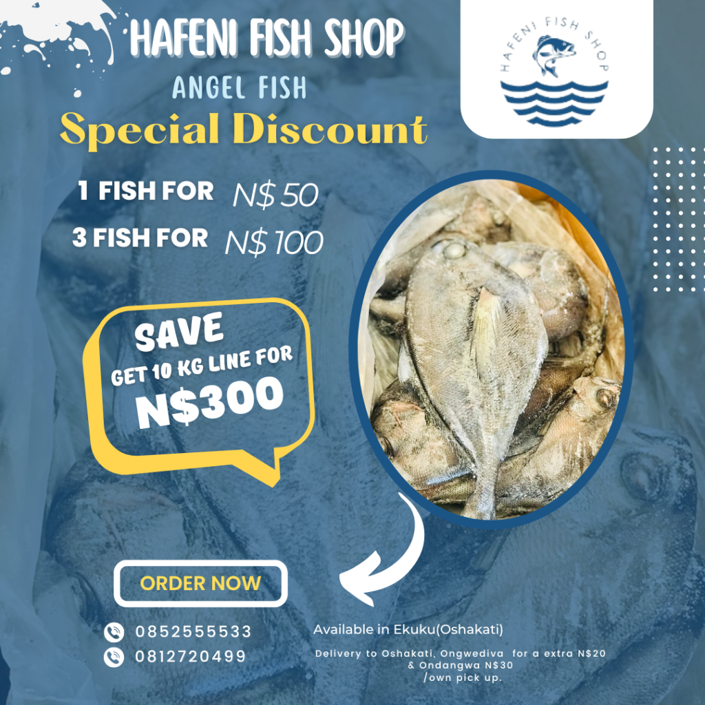 Angel fish -Special Discount