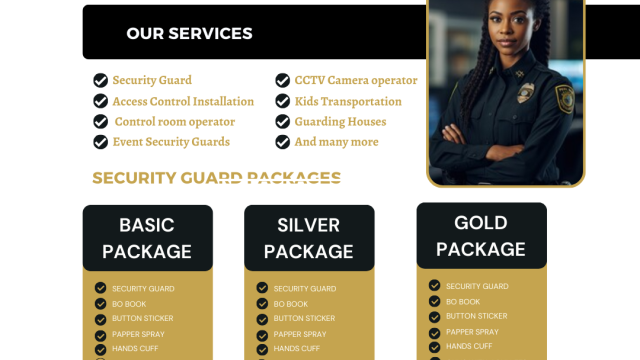 PROFESSIONAL SECURITY SERVICE PROVIDER